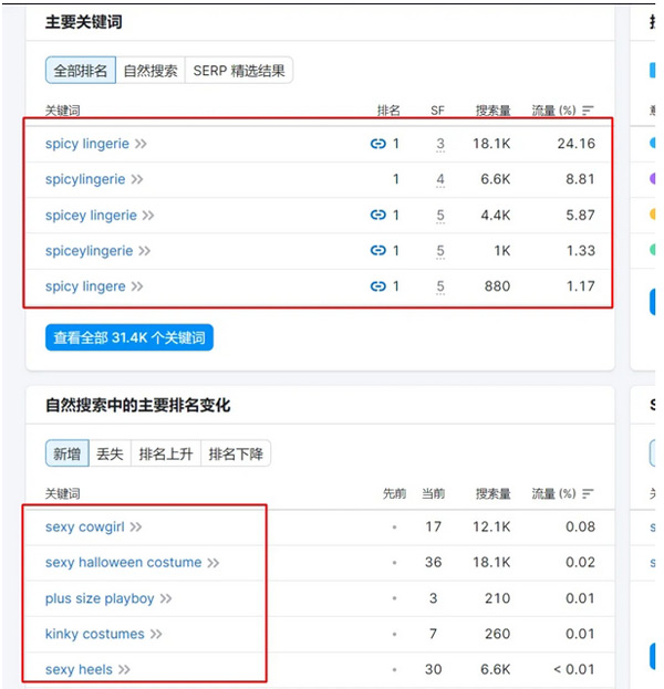 獨立站推廣引流方法及流量分析