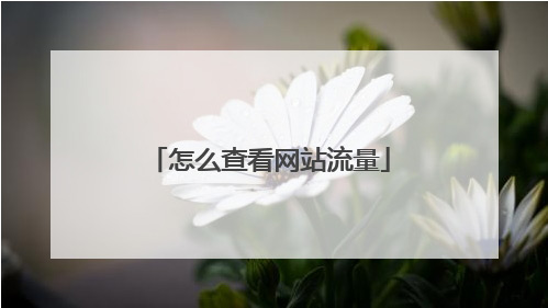 網站日均流量怎么看？網站日均訪問量查詢？